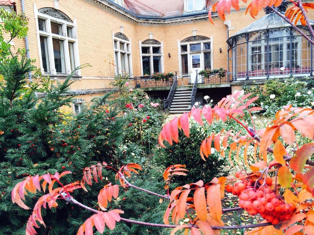 Pension Sanssouci Poczdam Pokój zdjęcie